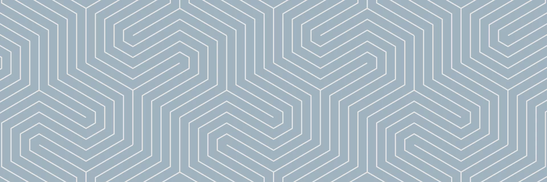 Graphic of a seamless light blue-gray pattern with intricate, repeating geometric lines.