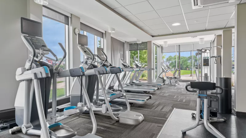 Modern gym with rows of treadmills, ellipticals, and exercise bikes, featuring large windows with an outdoor view.