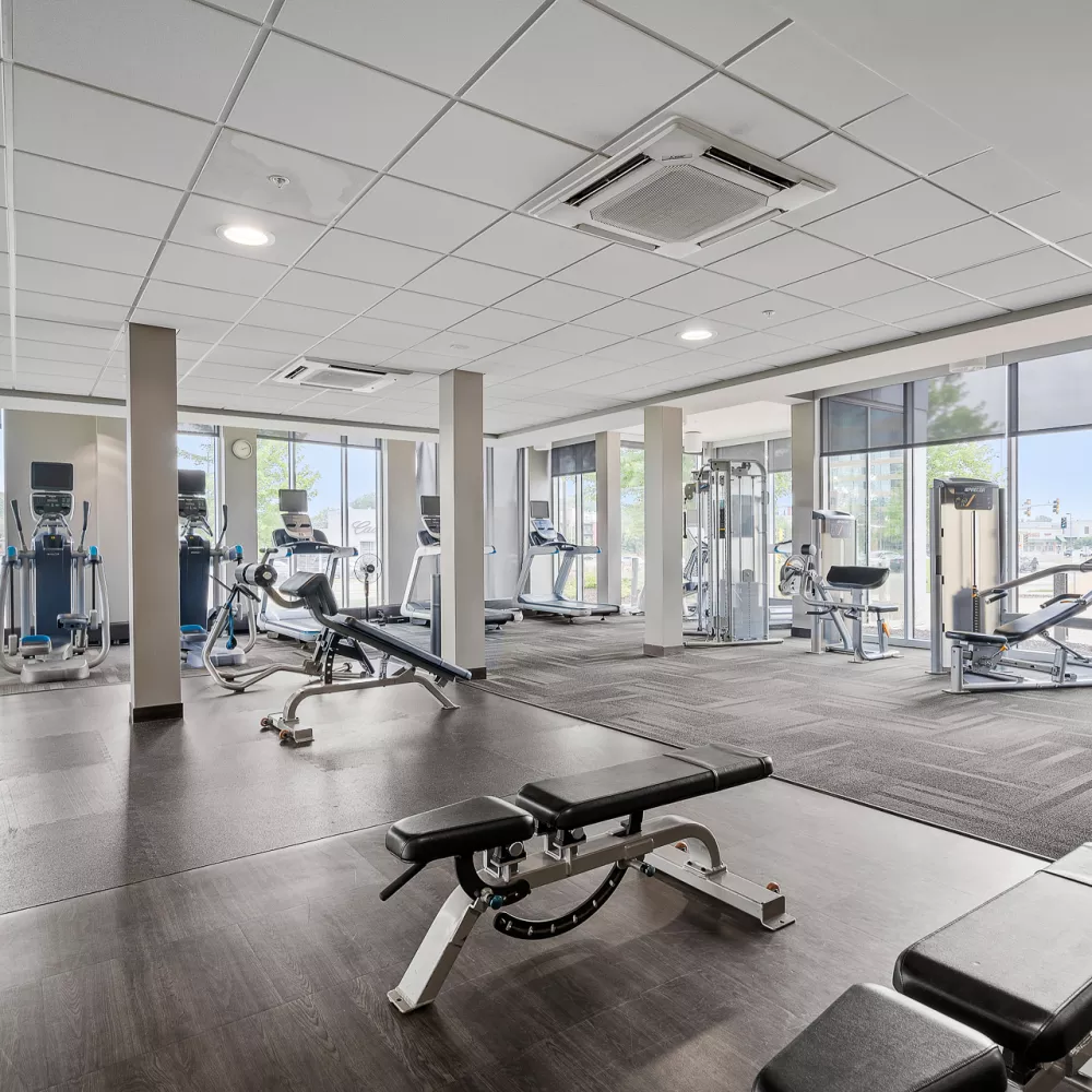 Modern gym with dark floors, a mirrored wall, various cardio and weight machines, and large windows.